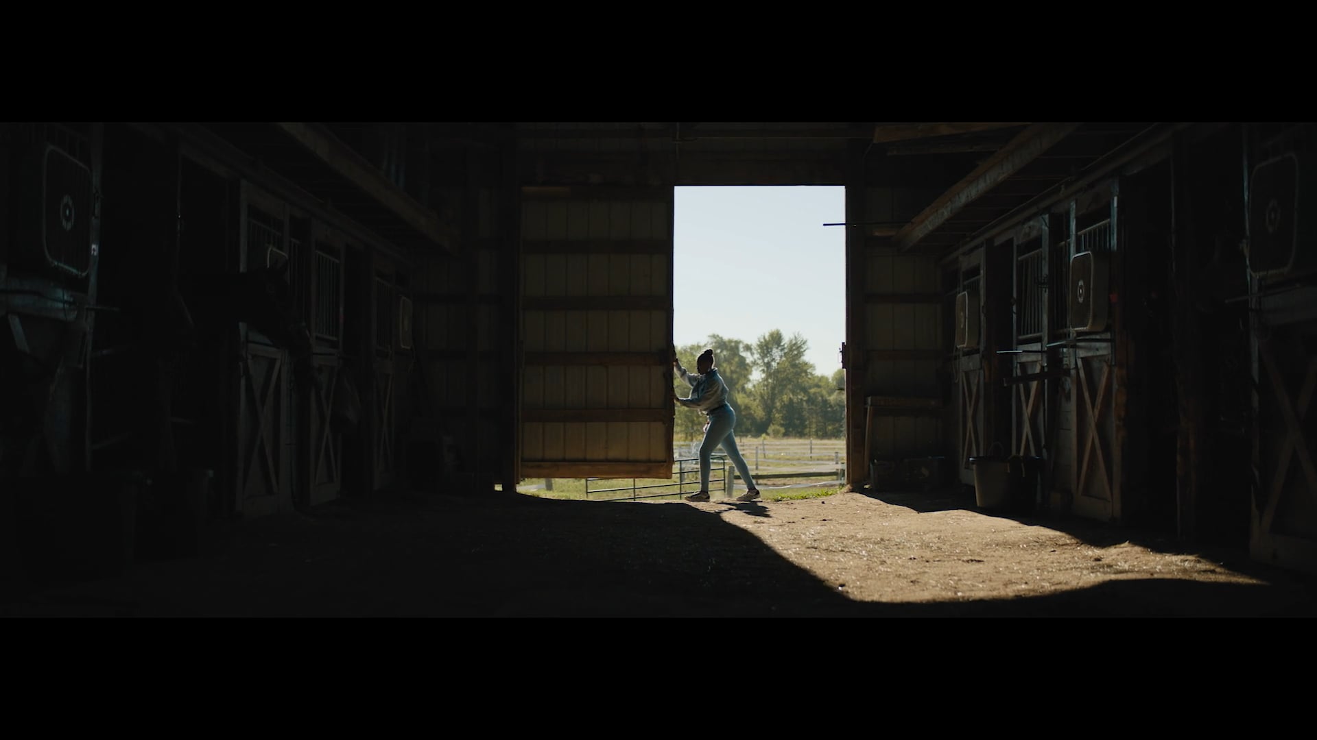 DETROIT HORSE POWER // Successful Journeys