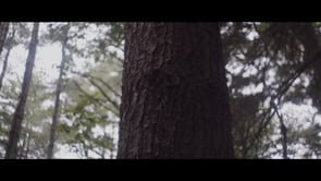 Maine Public - Customer Success Story