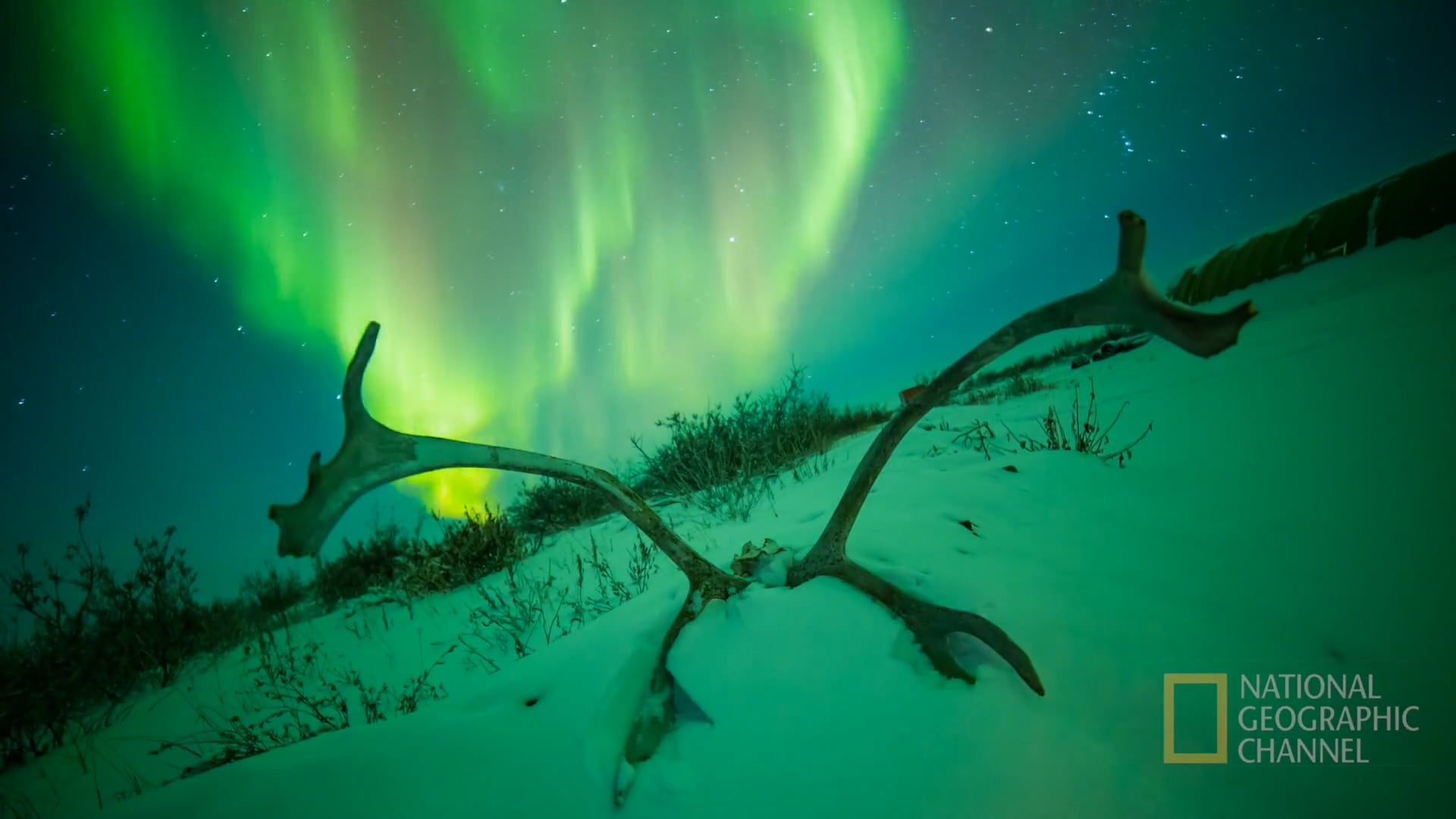 Corey Cooper Timelapse Demo Reel