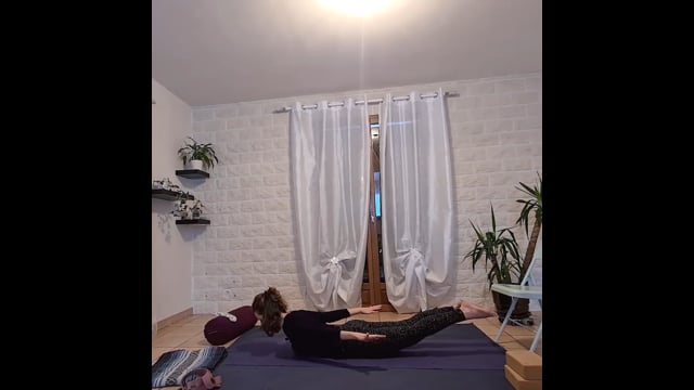 Yoga de l'enracinement adapté aux genoux sensibles