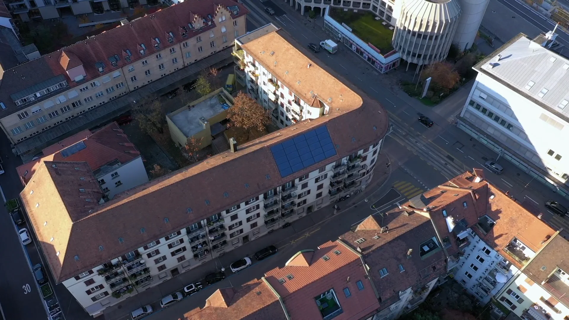 Zypressen - GBMZ