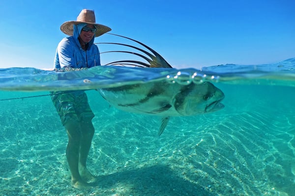 Baja Roosterfish & Dorado