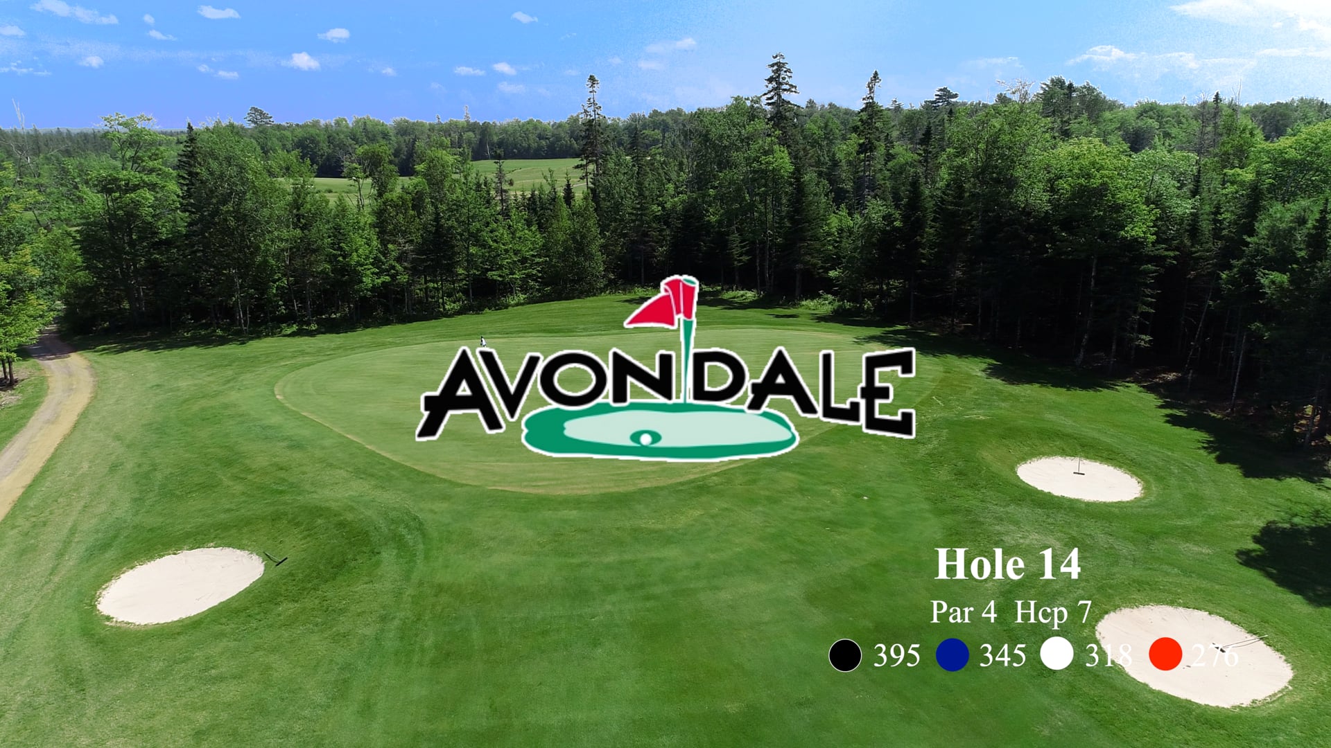 Avondale #14