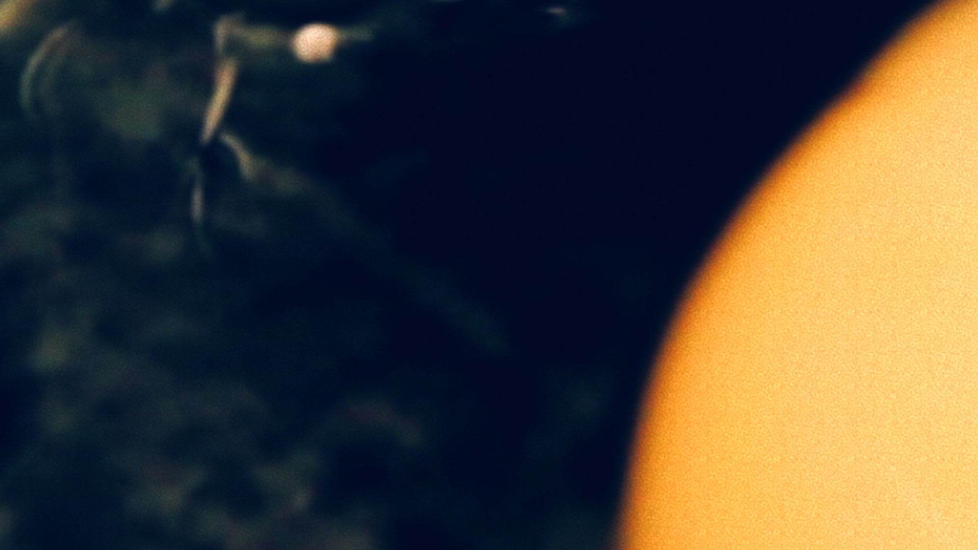 NOV 30