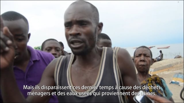 Les poissons du Tanganyika - Vidéo ePOP