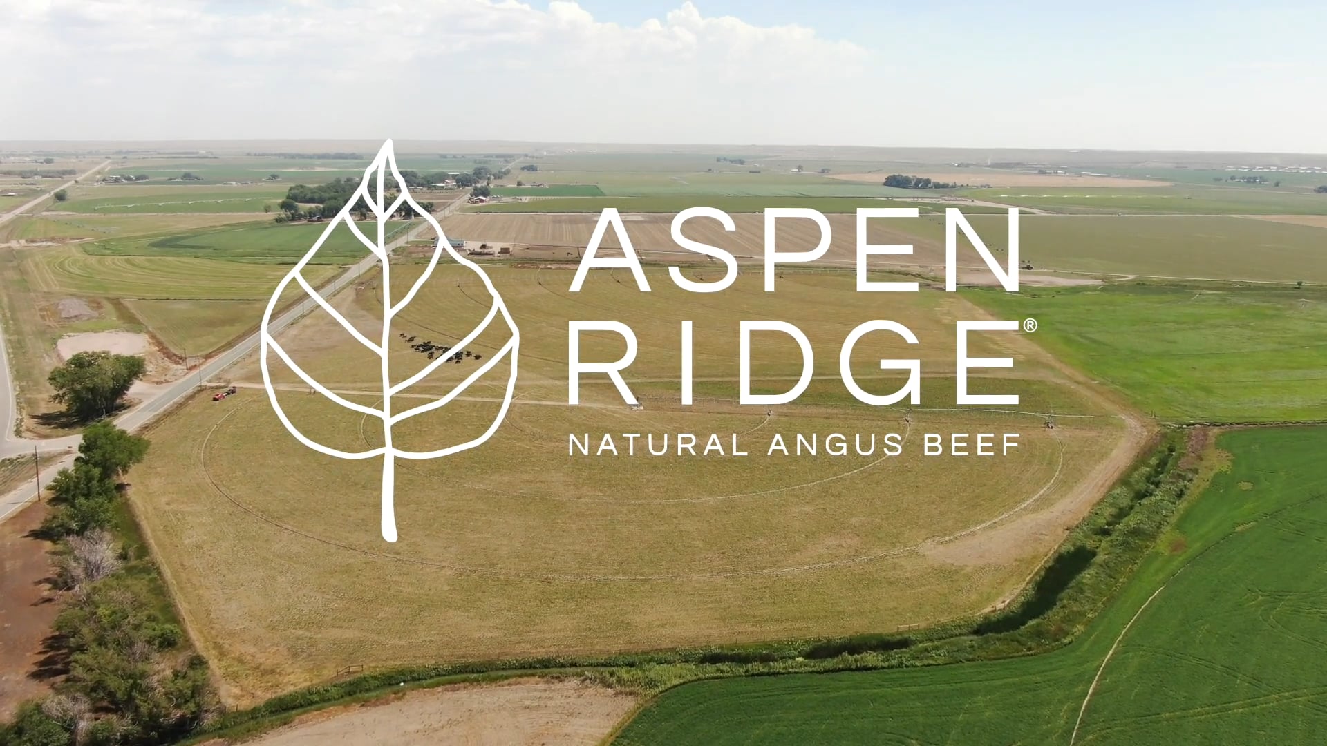 Aspen Brand Edit