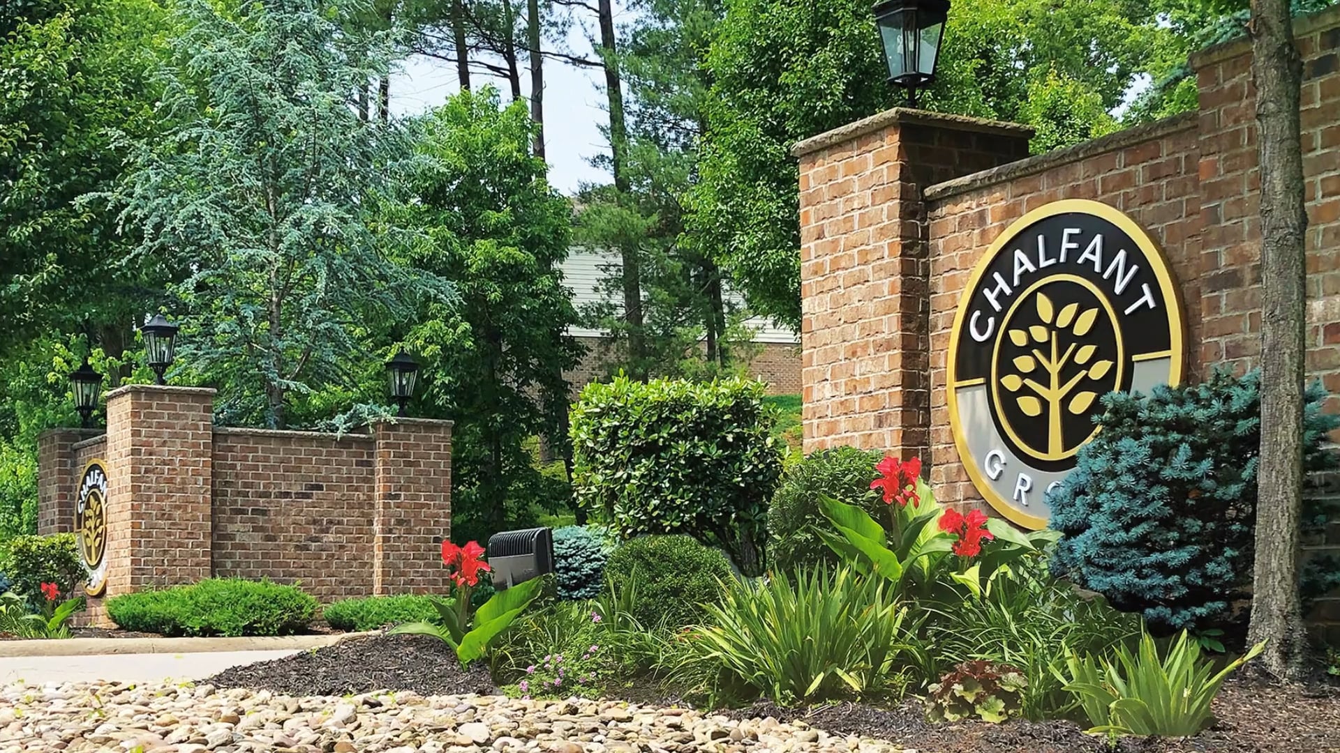 Discover Chalfant Grove on Vimeo