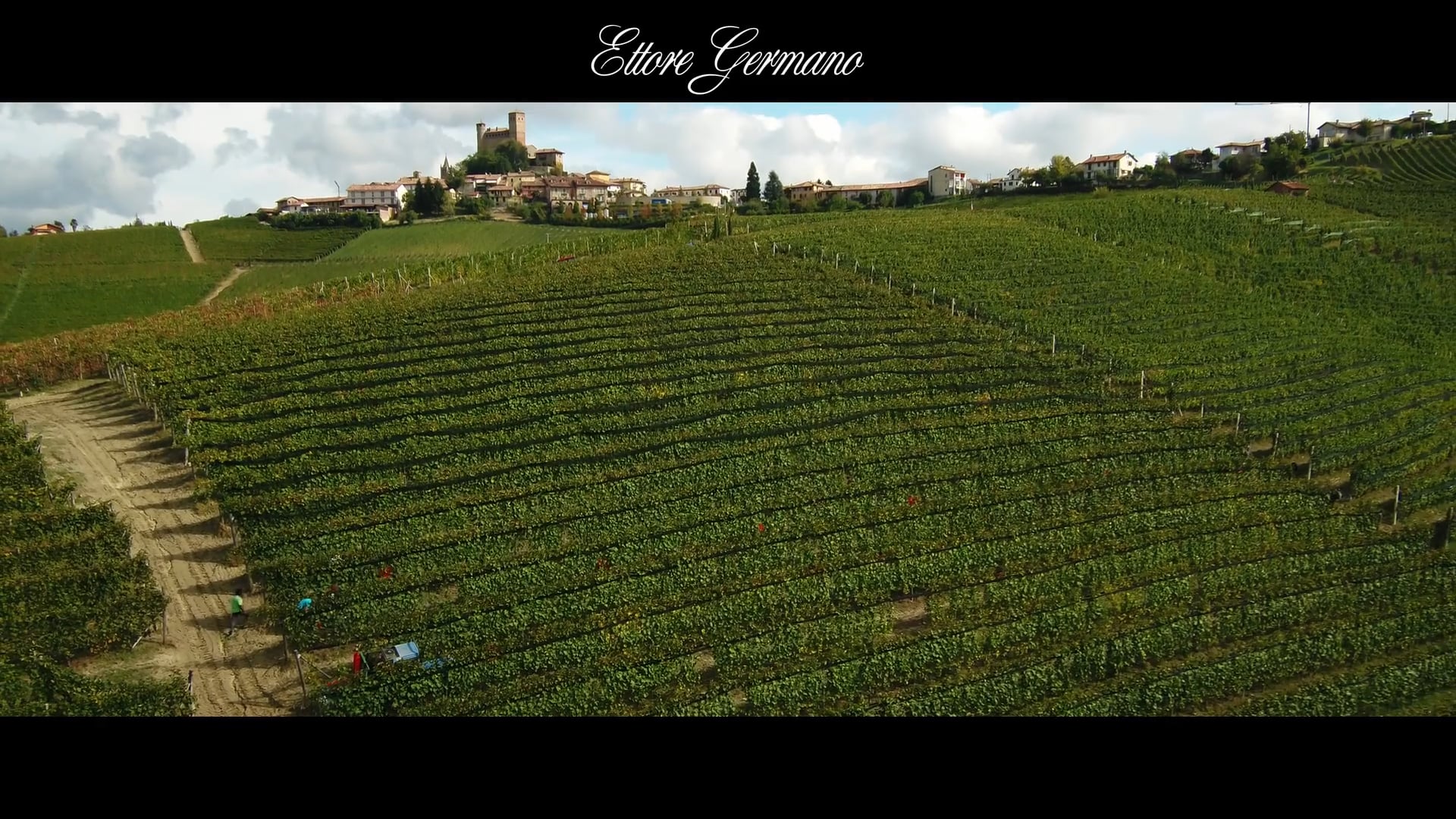 Vignarionda - Vendemmia 2020