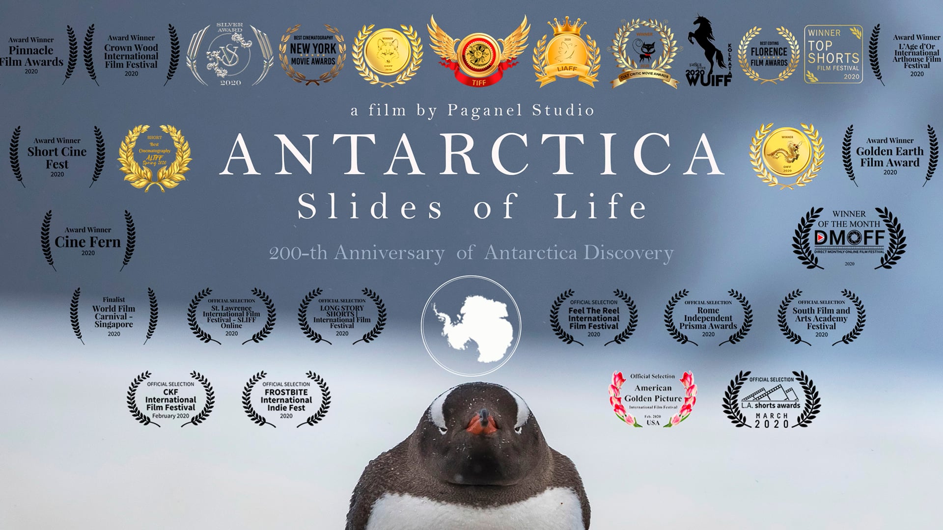 Antarctica. Slides of Life 2020