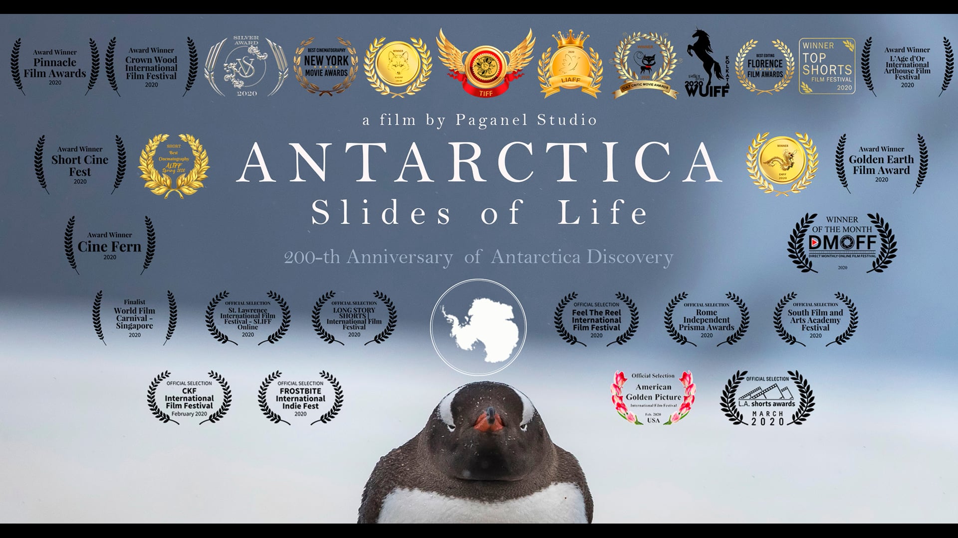 Antarctica. Slides of Life 2020