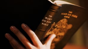The Word on Fire Bible