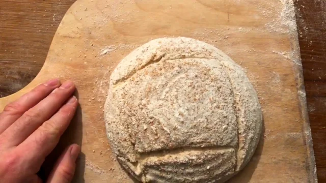 Best cheap Mure Peyrot Bordelaise Lame - Bread Scoring Blade on