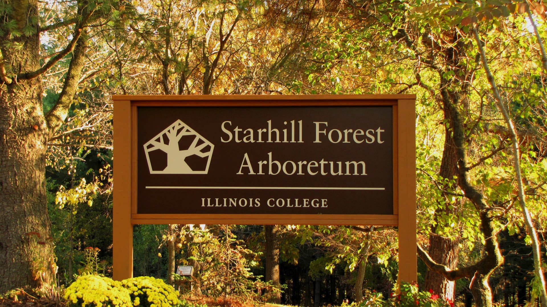 Starhill Forest Arboretum - A Quick Tour