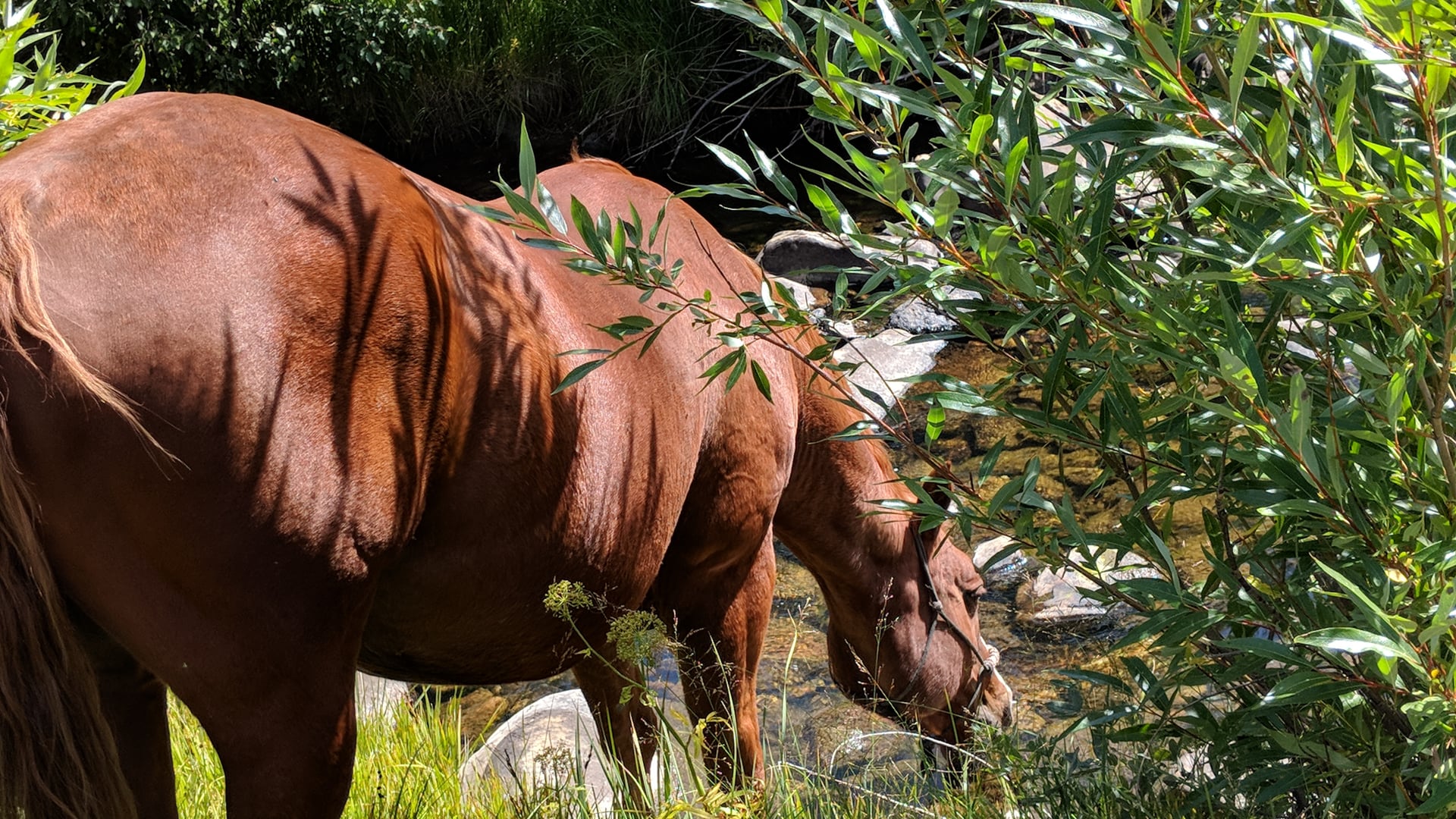 2020 December 04: Putting it All Together