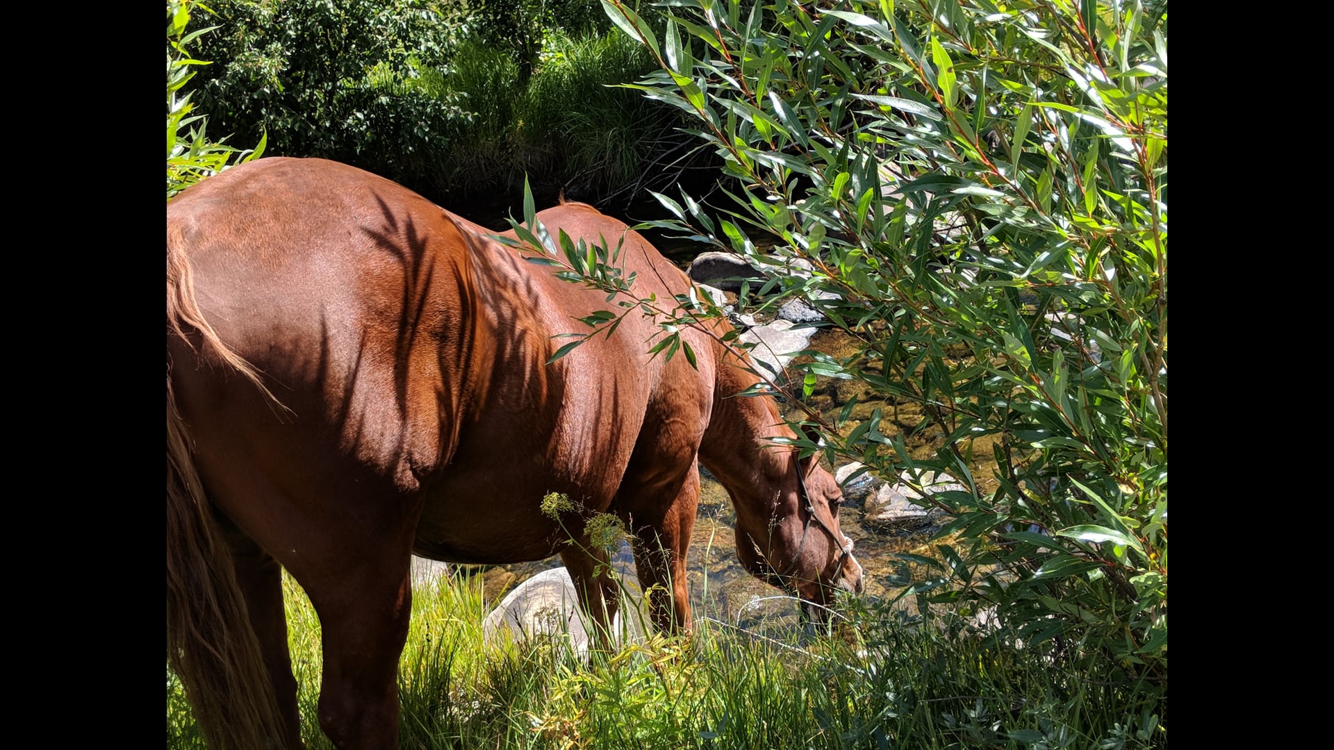 2020 December 04: Putting it All Together