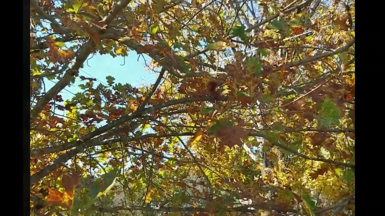 Places of Life and Death, a video by Heather Turner-Davis