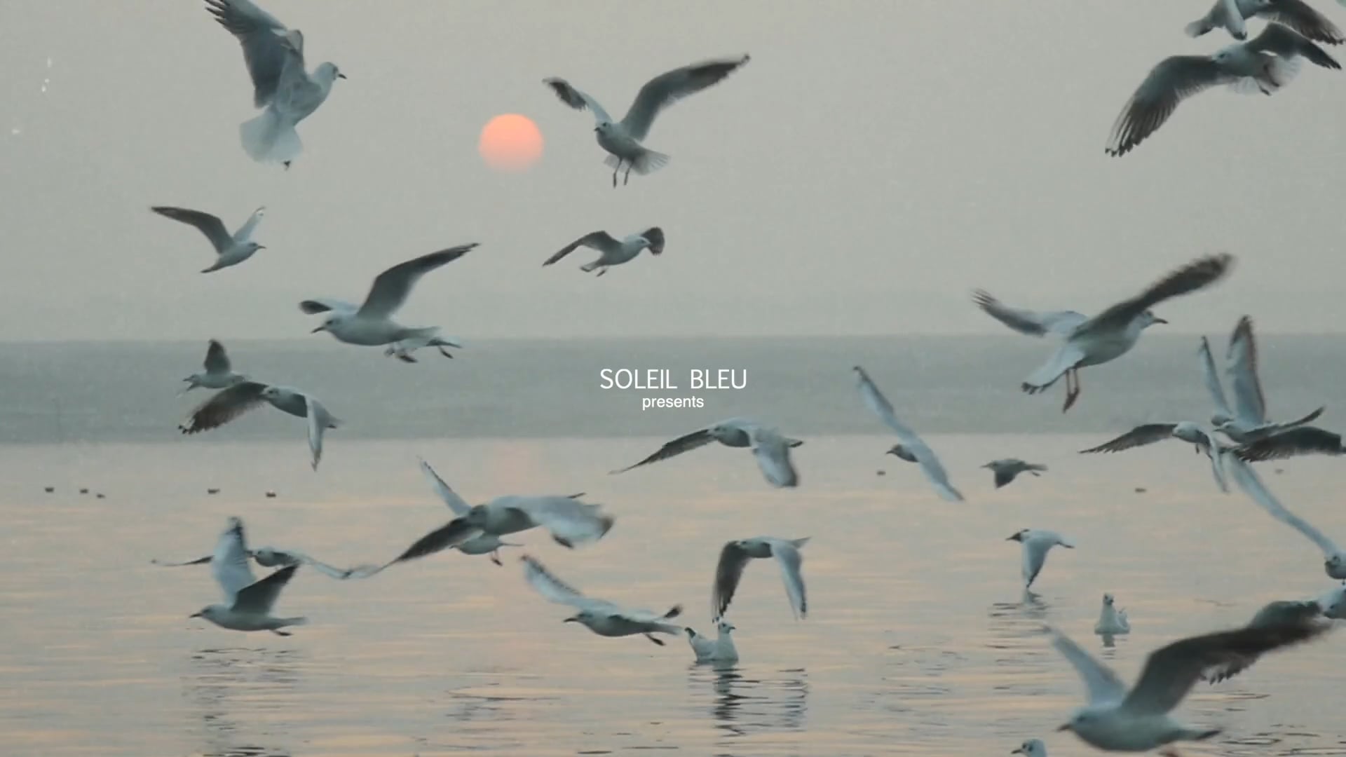 SOLEIL BLEU REEL