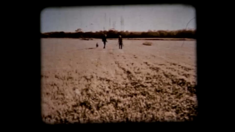 Traces