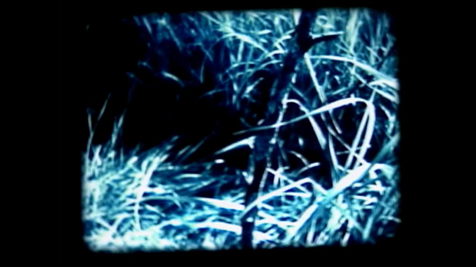 Traces