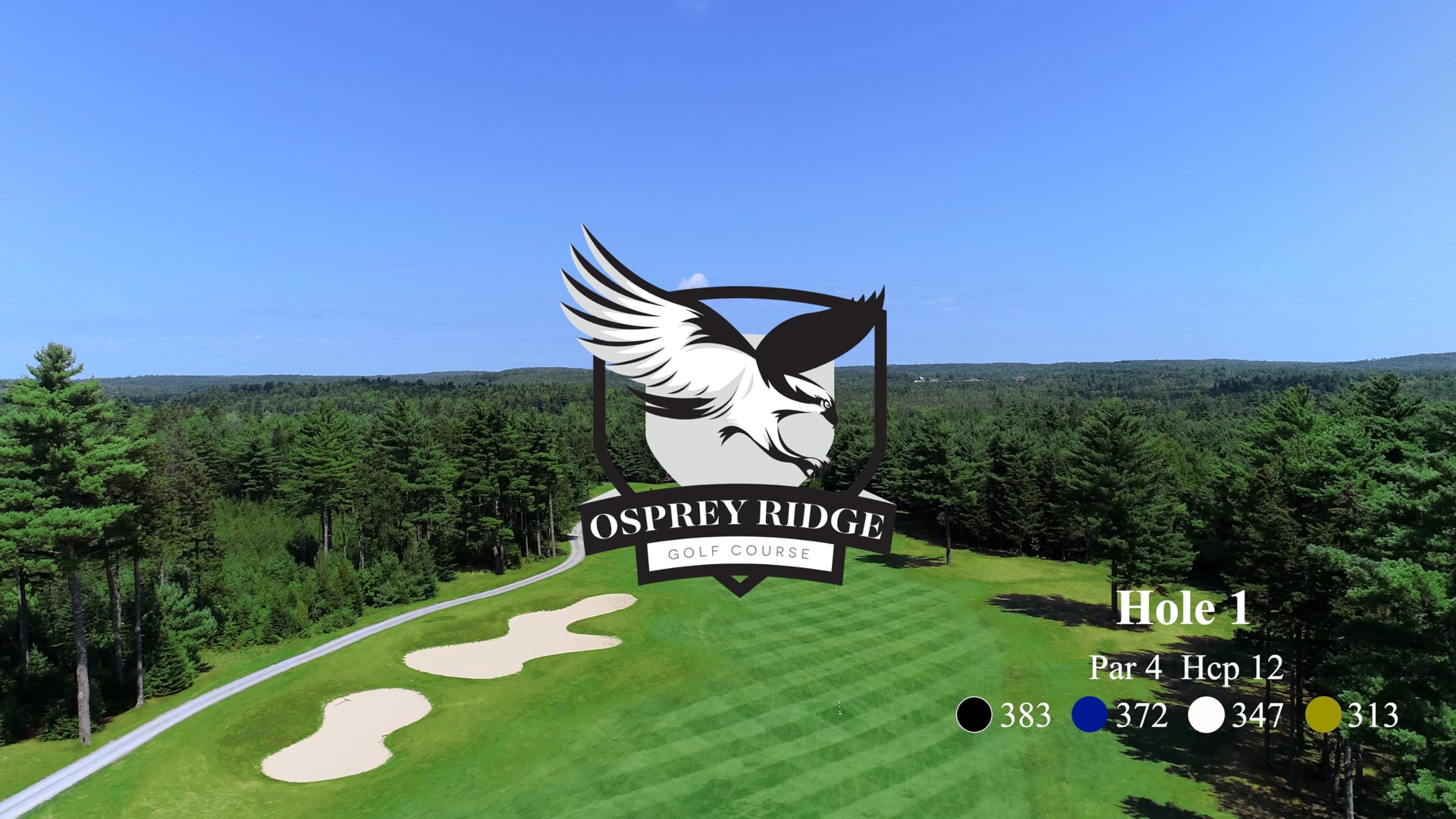 Osprey #1