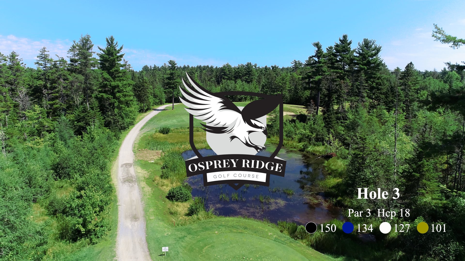 Osprey #3