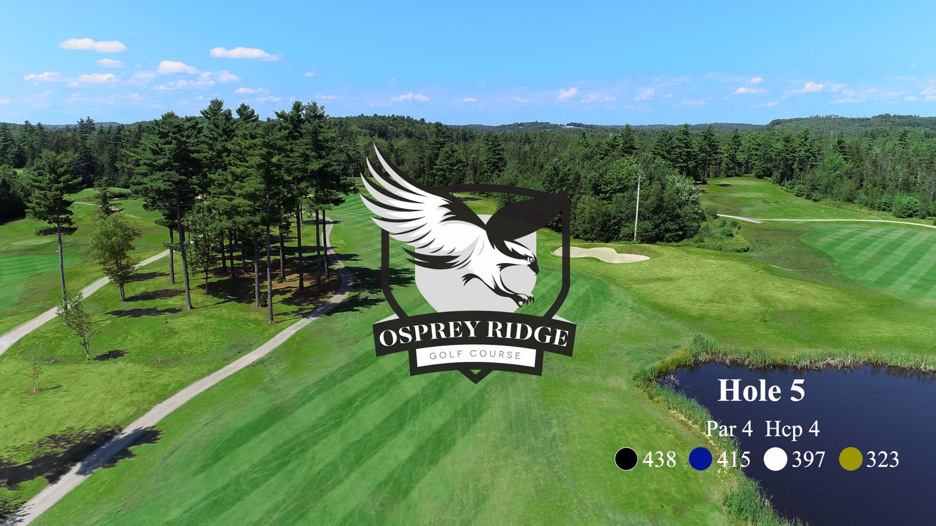 Osprey #5