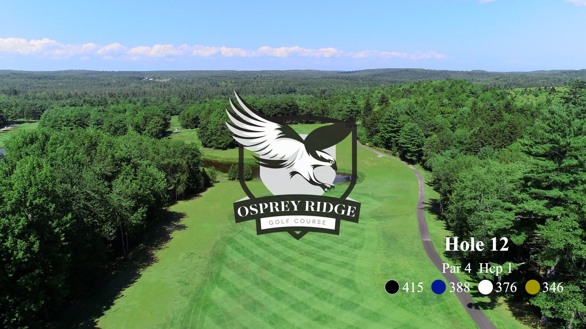 Osprey #12
