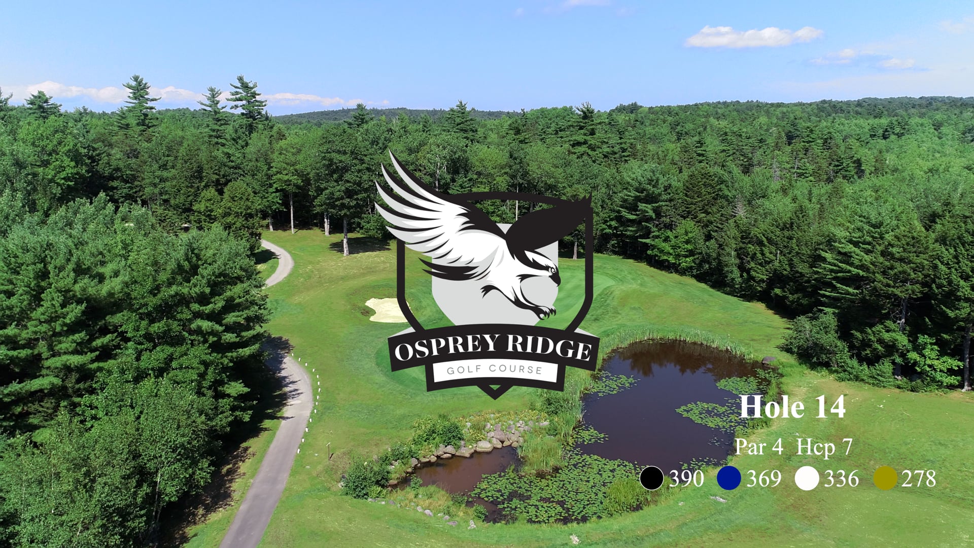 Osprey #14
