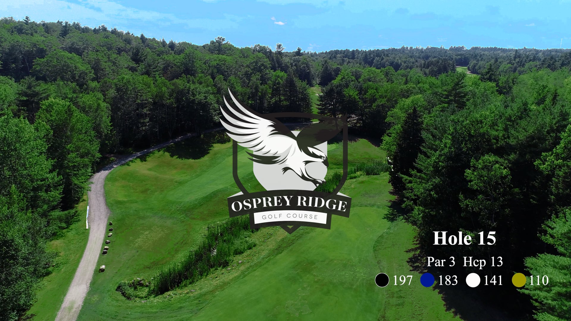 Osprey #15