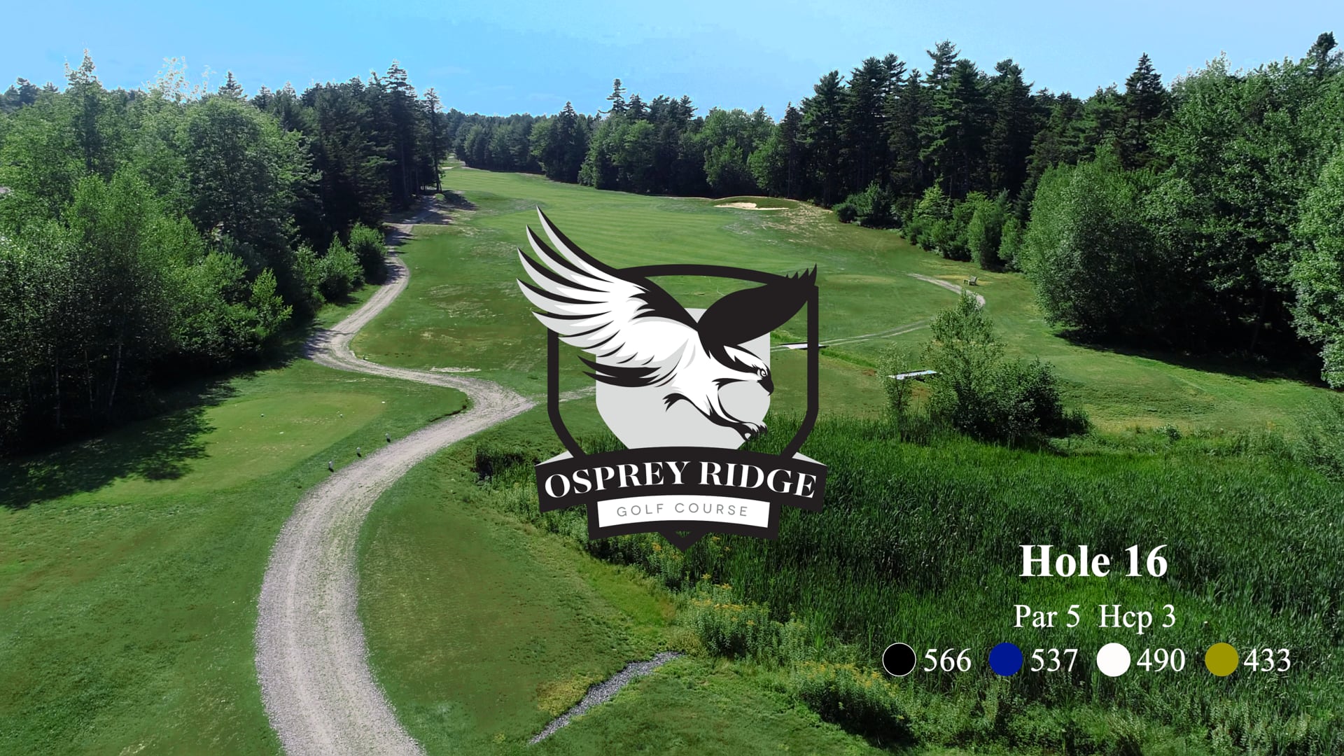 Osprey #16