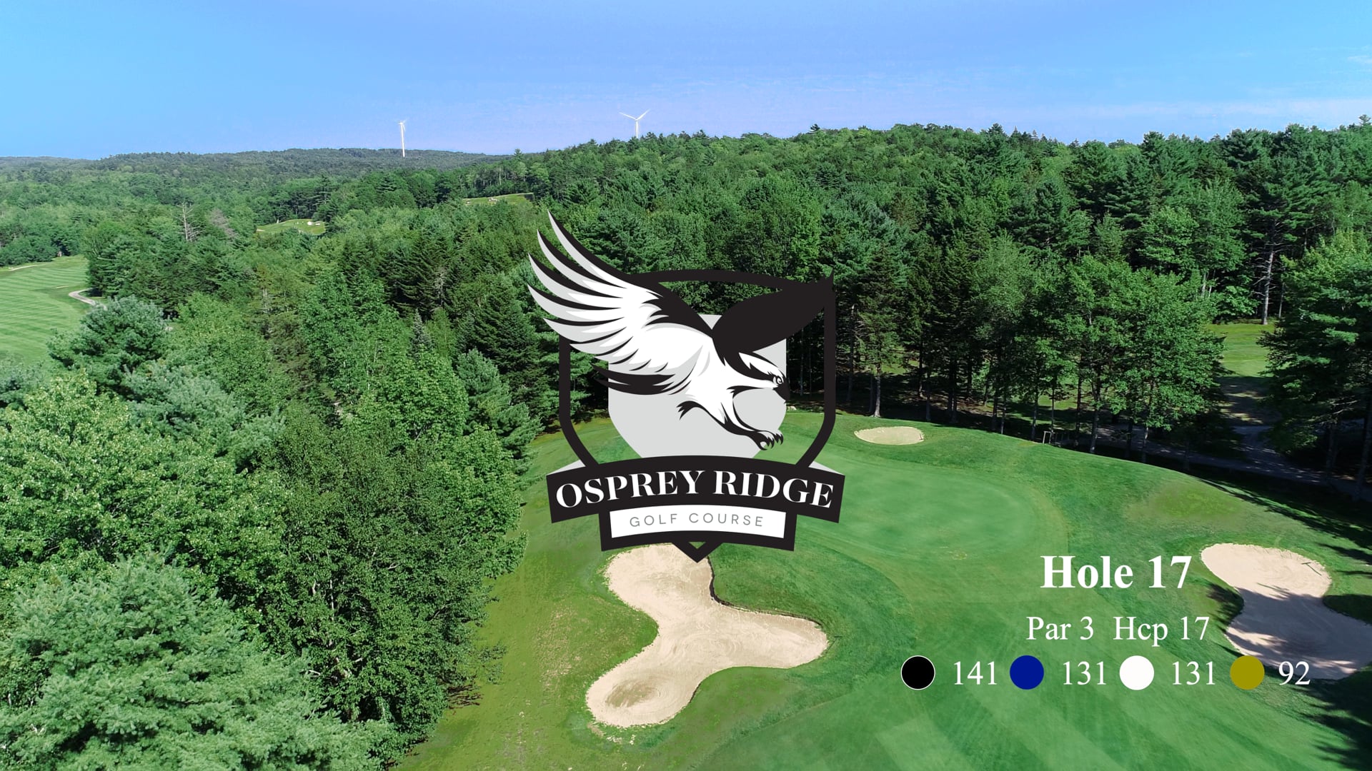 Osprey #17