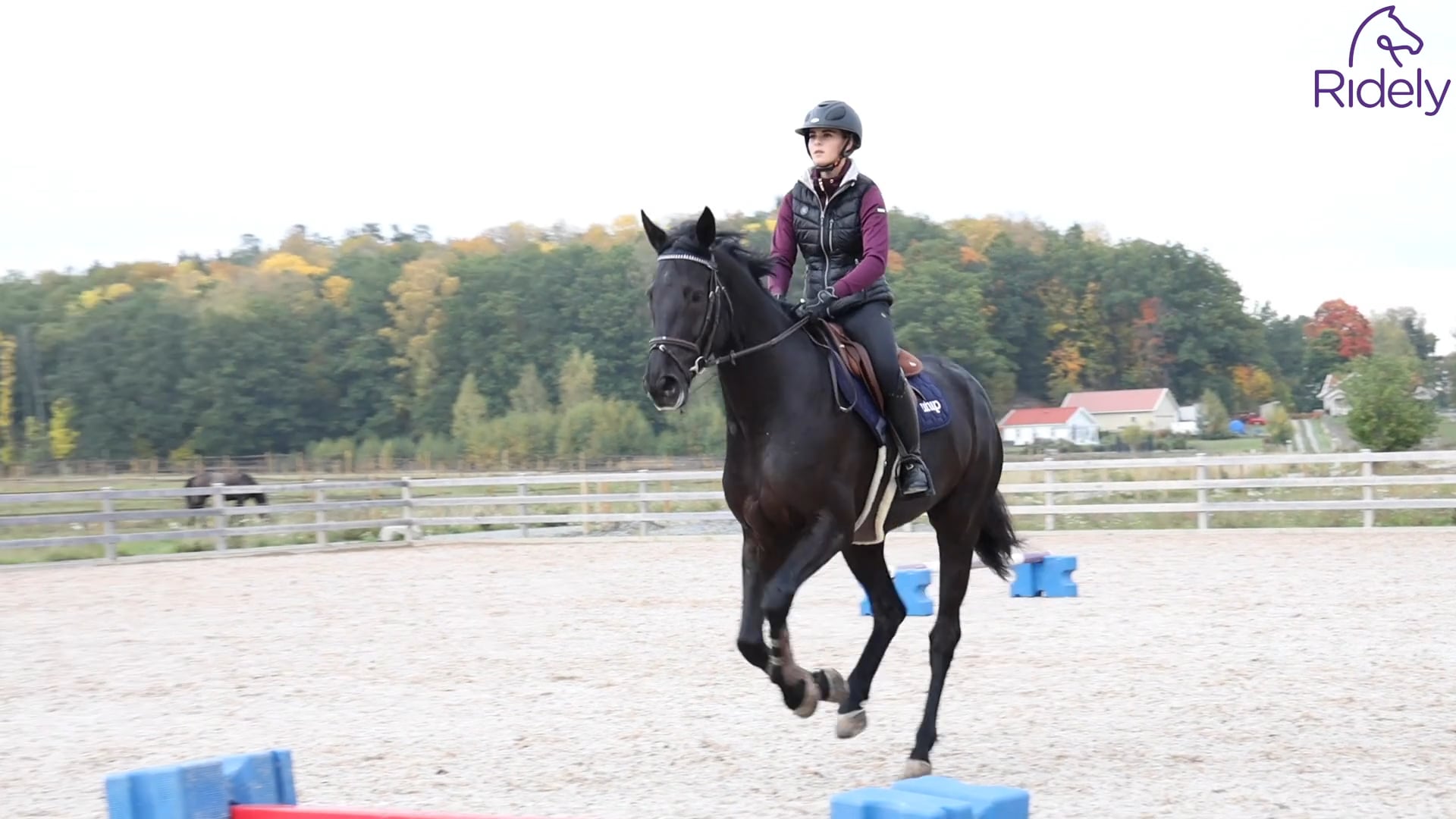 Finding your distance | Ridely