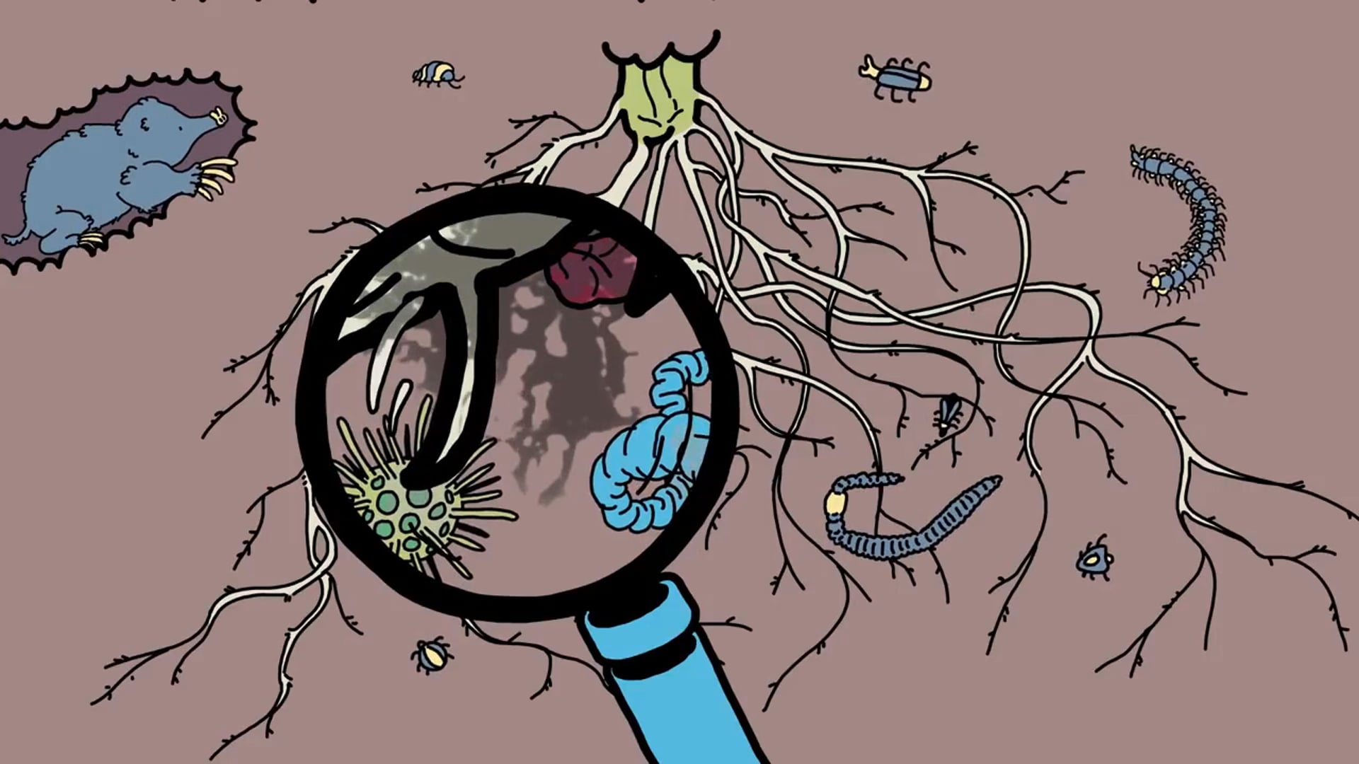 Pesticide Animation