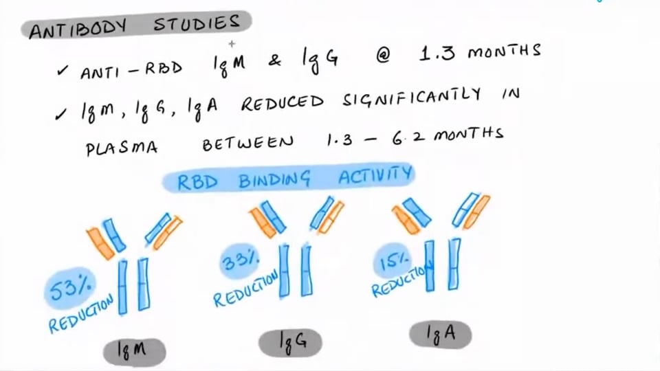 Antibody Immunity Lasts And Matures At 6 Months