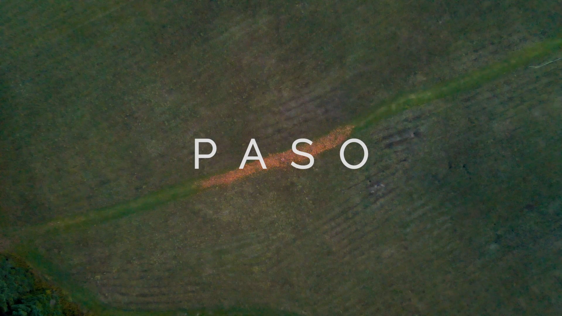 Paso