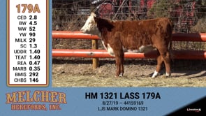 Lot #179 - HM 1321 LASS 179A