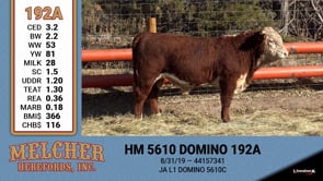 Lot #192 - HM 5610 DOMINO 192A