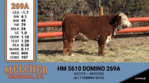 Lot #269 - HM 5610 DOMINO 269A