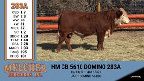 Lot #283 - HM CB 5610 DOMINO 283A