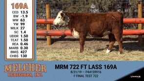 Lot #169 - MRM 722 FT LASS 169A