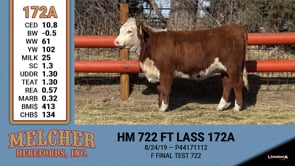 Lot #172 - HM 722 FT LASS 172A