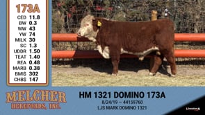 Lot #173 - HM 1321 DOMINO 173A