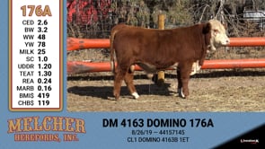 Lot #176 - DM 4163 DOMINO 176A