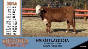 Lot #201 - HM X671 LASS 201A