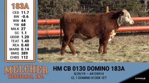Lot #183 - HM CB 0130 DOMINO 183A