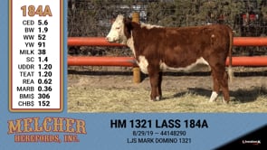 Lot #184 - HM 1321 LASS 184A