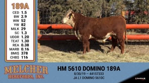 Lot #189 - HM 5610 DOMINO 189A