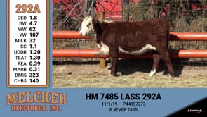 Lot #292 - HM 7485 LASS 292A