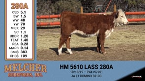 Lot #280 - HM 5610 LASS 280A