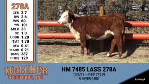 Lot #278 - HM 7485 LASS 278A